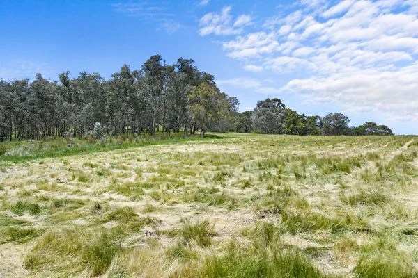 Additional image 9 of 1 and 2 Fallow Drive, Cambridge TAS 7170