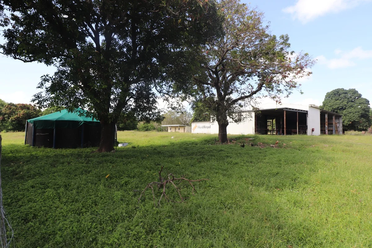 Additional image 6 of 60 Bougainville Street, Roseneath QLD 4811