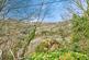 Additional image 37 of Madeira Road, Ventnor, Isle of Wight, PO38