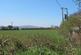 Additional image 5 of Bray Shop, Callington. PL17