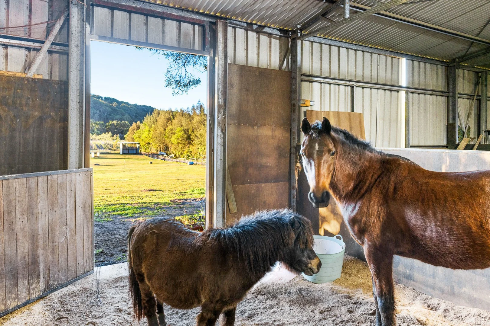 Additional image 6 of 163-187 Petrie Creek Road, Rosemount QLD 4560