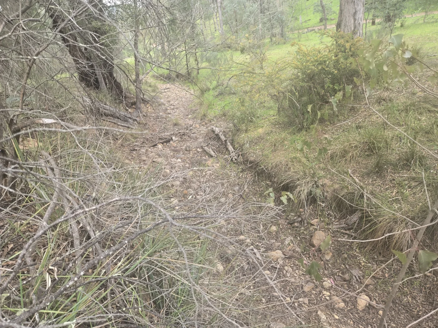 Additional image 12 of 1657 Kangarooby Road, Gooloogong NSW 2805