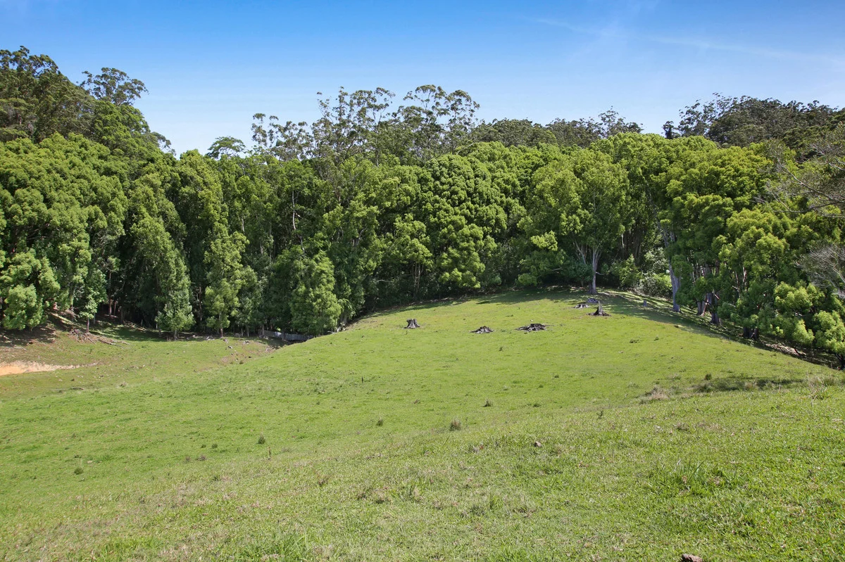 Additional image 24 of 1039 Currumbin Creek Road, Currumbin Valley QLD 4223