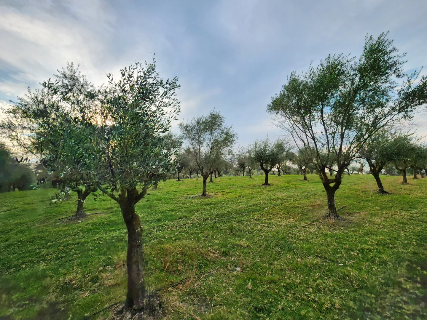 Additional image 44 of 100 Eltons Road, Silverdale NSW 2752