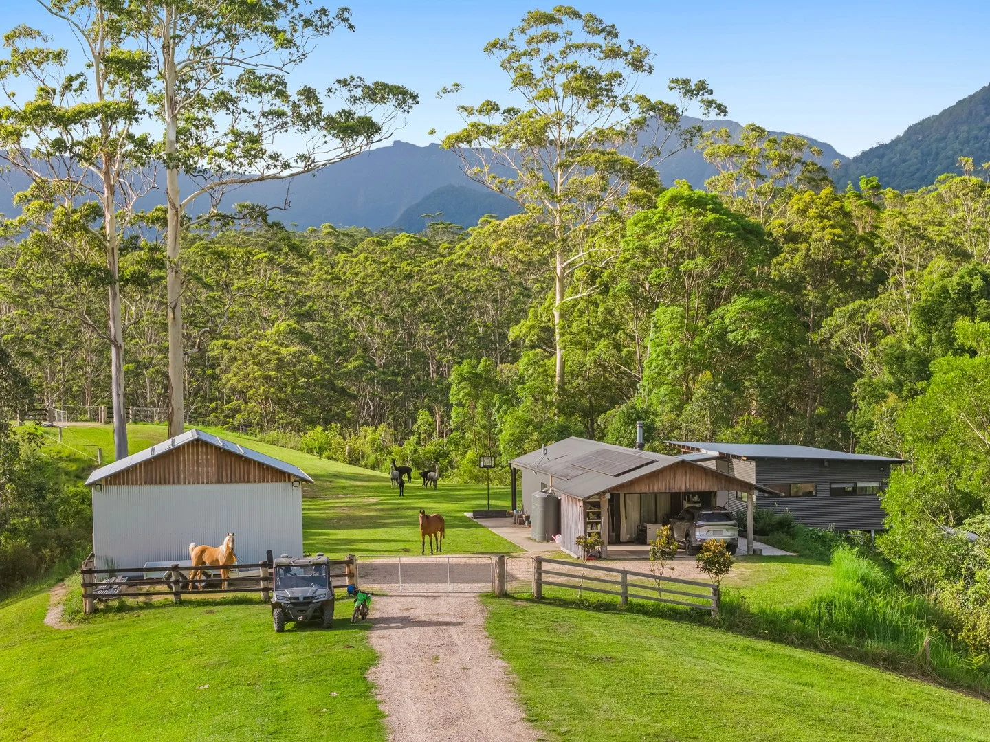 Additional image 2 of 157 Boormans Road, Tyalgum NSW 2484