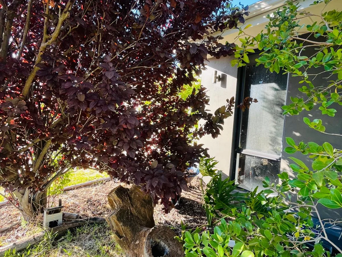 Additional image 30 of 9 Archdale Loop, Piara Waters WA 6112