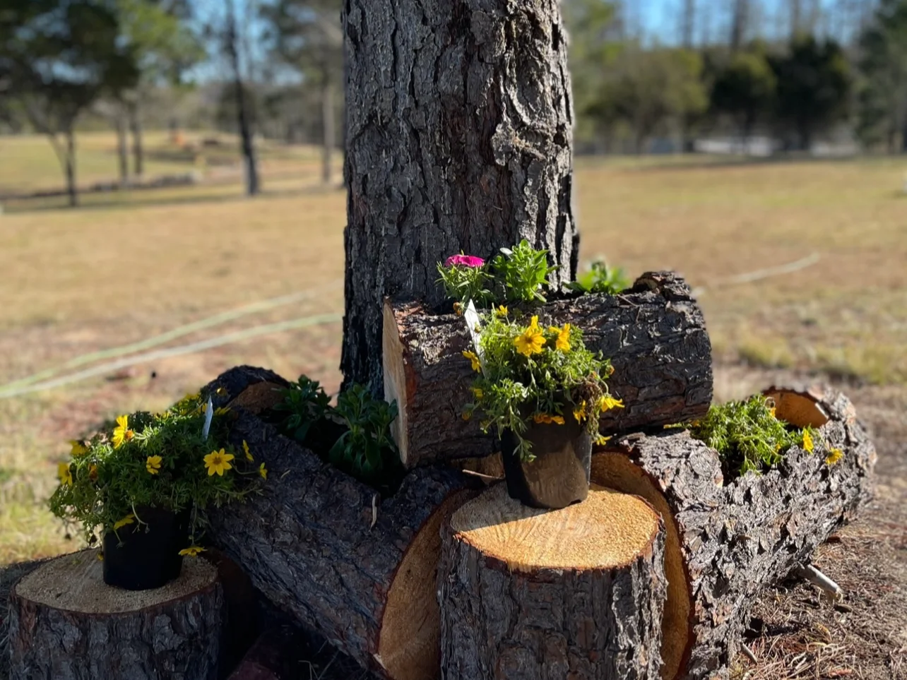 Additional image 28 of Tomboye NSW 2622