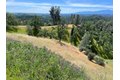 Additional image 2 of 170 Fiddlers Rd, Ono, CA, 96047