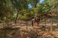 Additional image 68 of 2988 Spring Hill Dr, San Andreas, CA, 95249