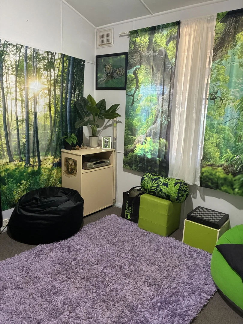 Additional image 11 of 4 Norman Street, Binnaway NSW 2395