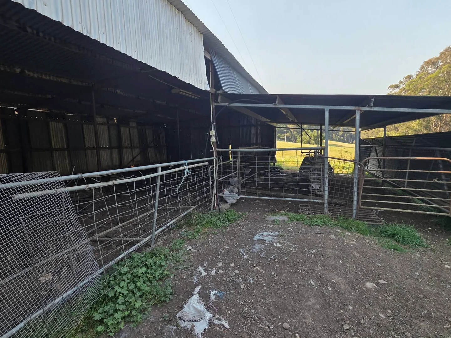 Additional image 13 of 1046 Little Snowy Creek Road, Eskdale VIC 3701