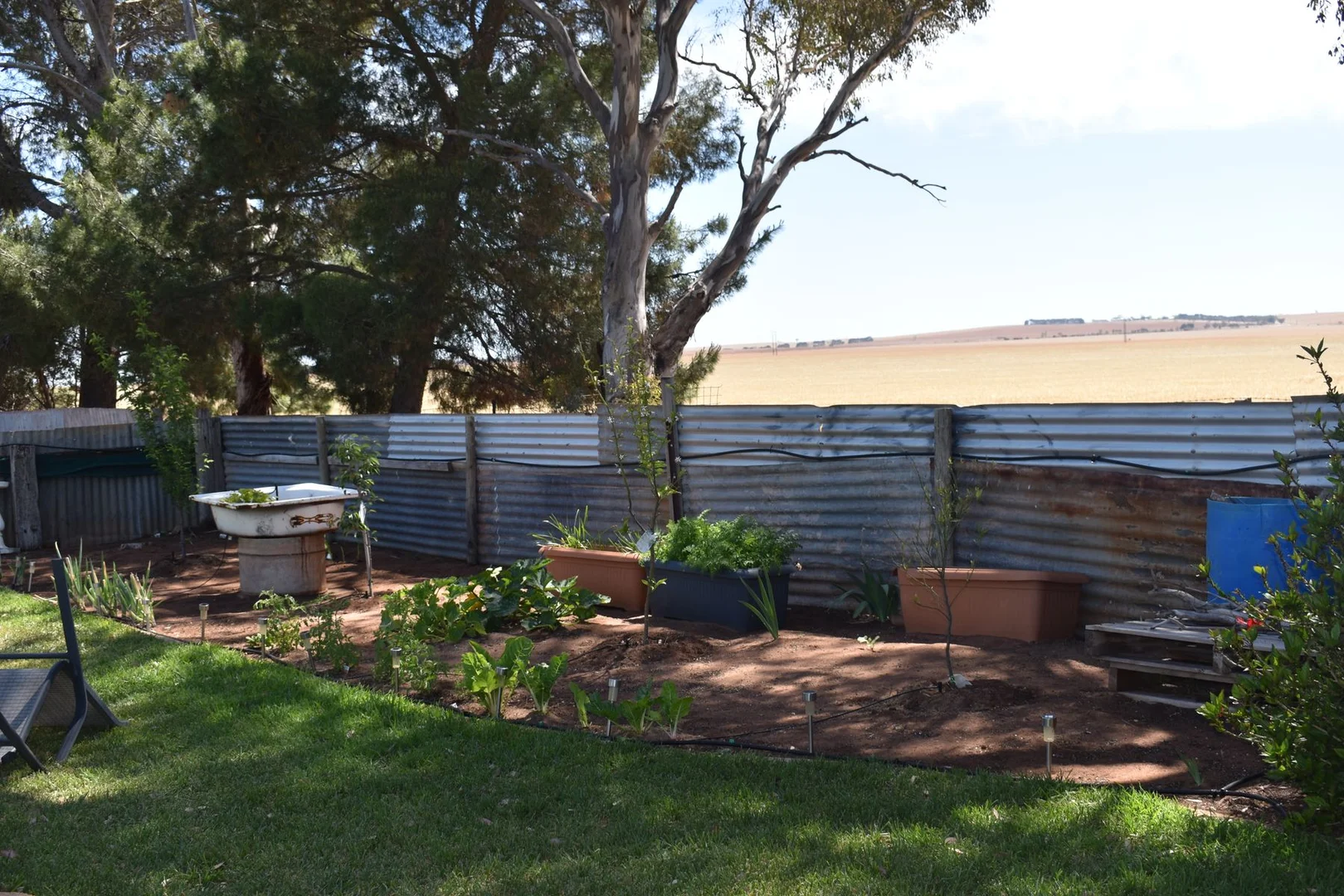 Additional image 12 of 22 EAST TERRACE, Brinkworth SA 5464