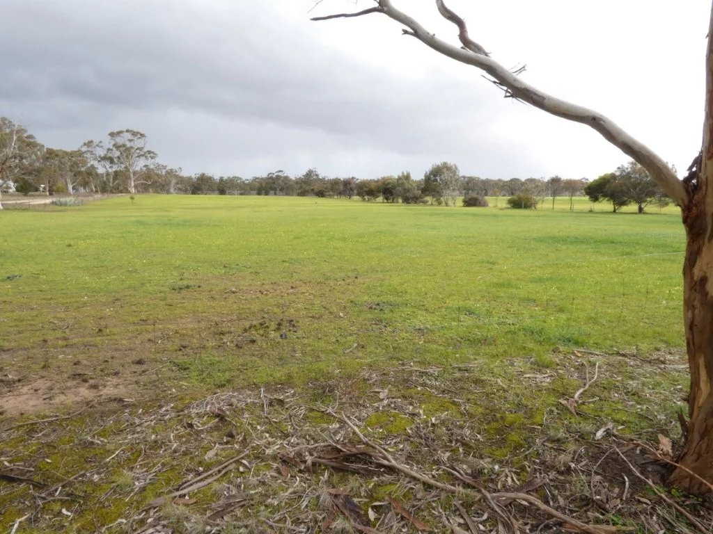 Additional image 20 of Patterson Rd, Dimboola VIC 3414