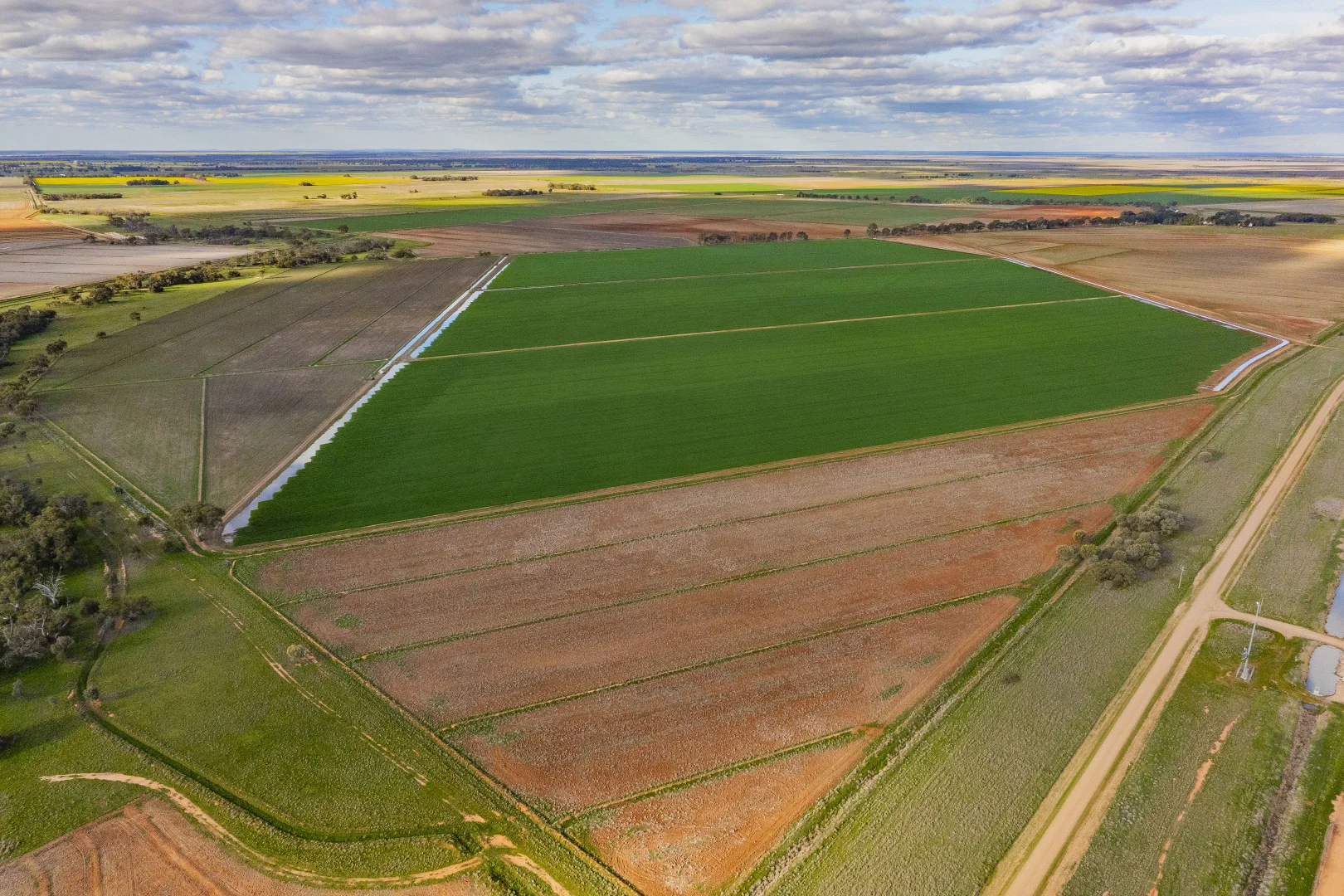 Additional image 17 of Glenn Road, Coleambally NSW 2707