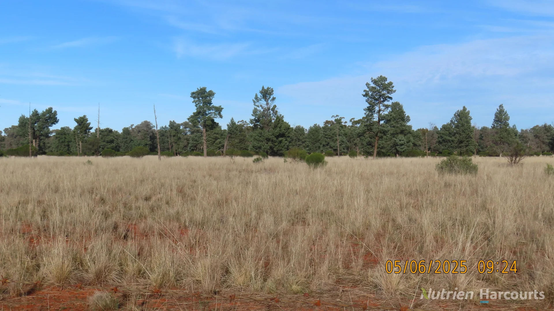 Additional image 7 of * Ryandale, Cobar NSW 2835