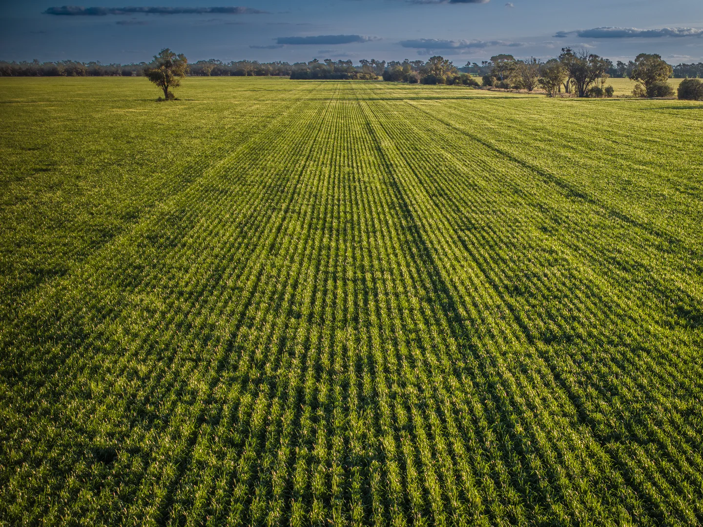 Additional image 4 of Bourbah 2598 Warren Road, Gulargambone NSW 2828