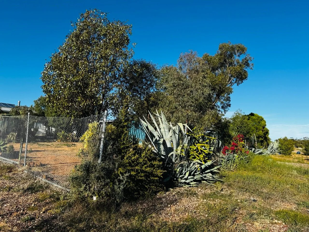 Additional image 6 of Lot 8 Wll16240, Lightning Ridge NSW 2834