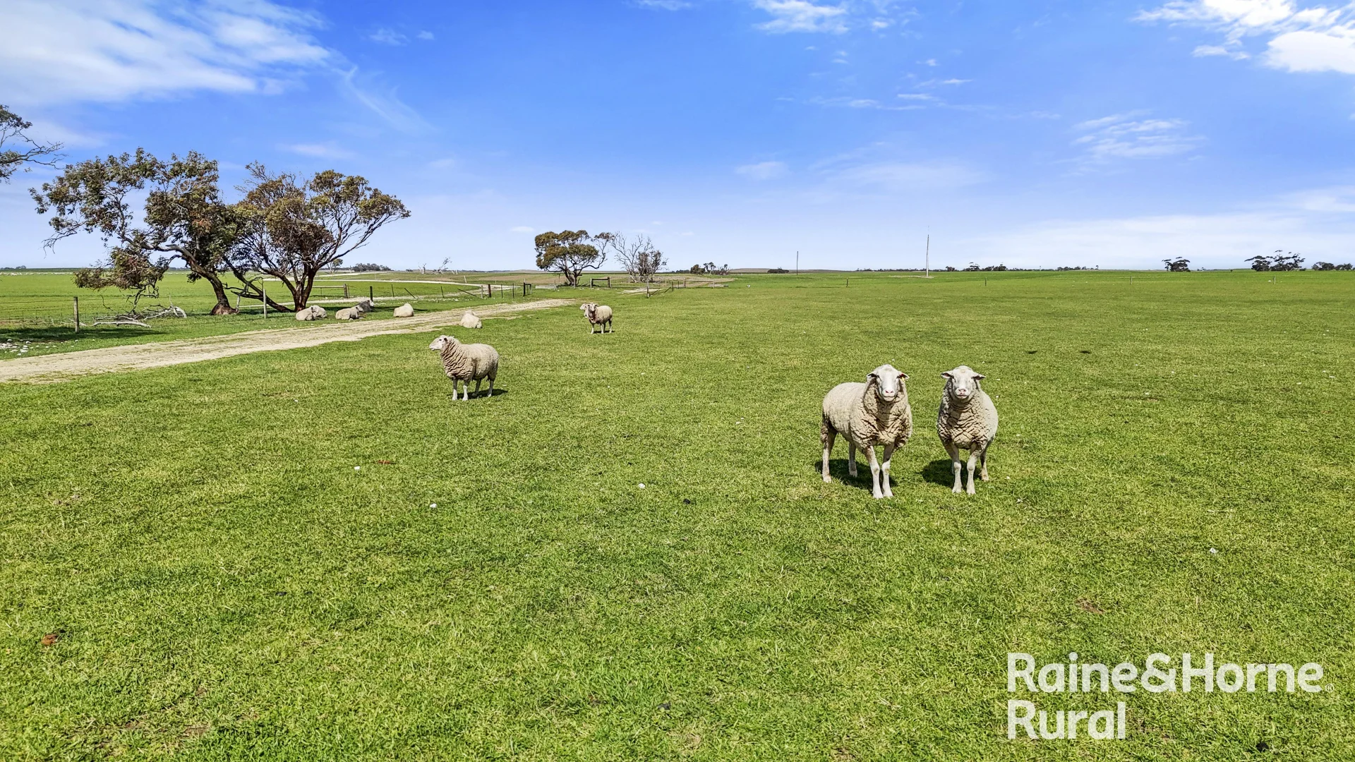 Additional image 20 of 378 Jones Road, Yumali SA 5261