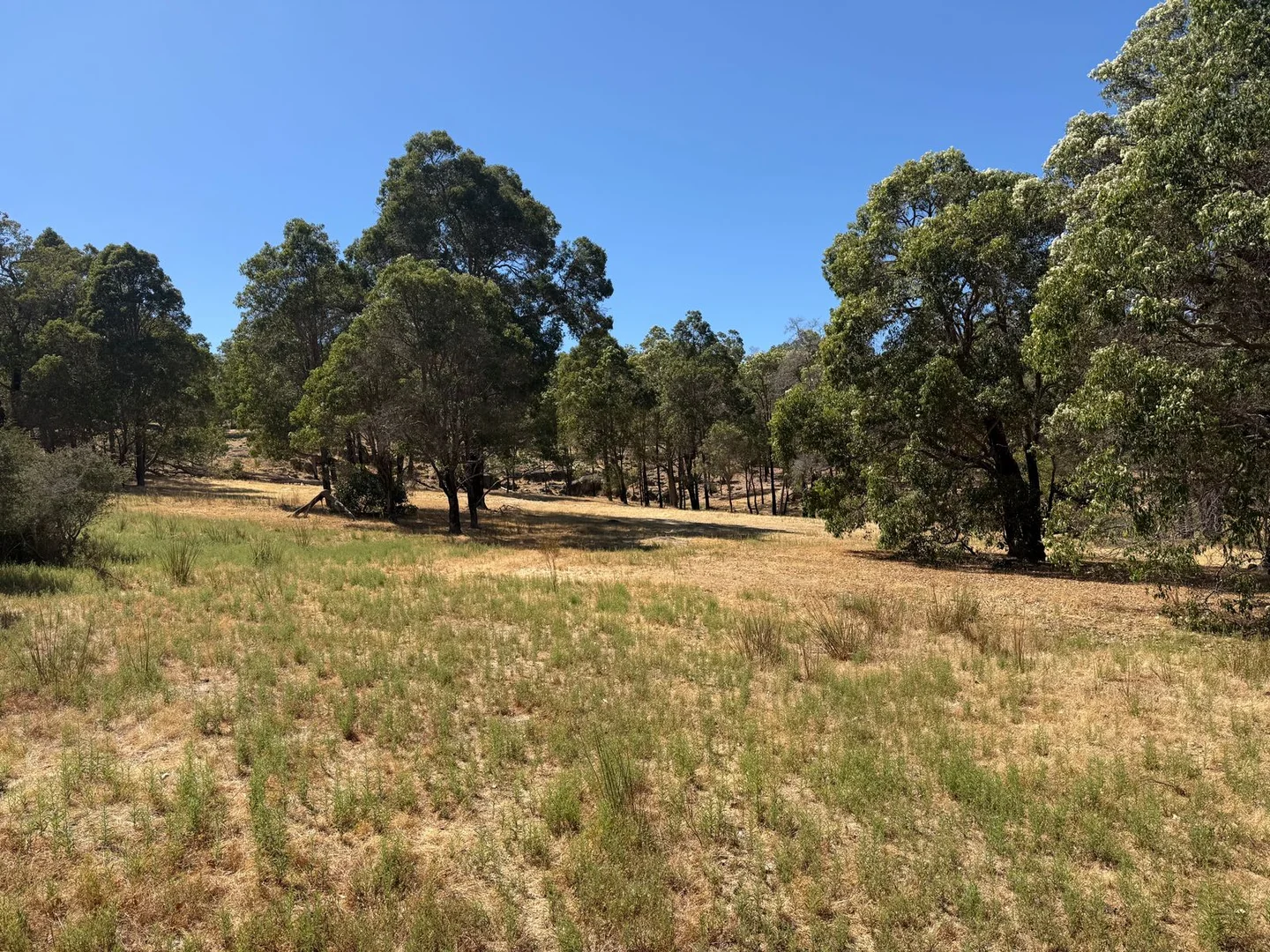 Additional image 2 of 59 Lyons Road, Waroona WA 6215