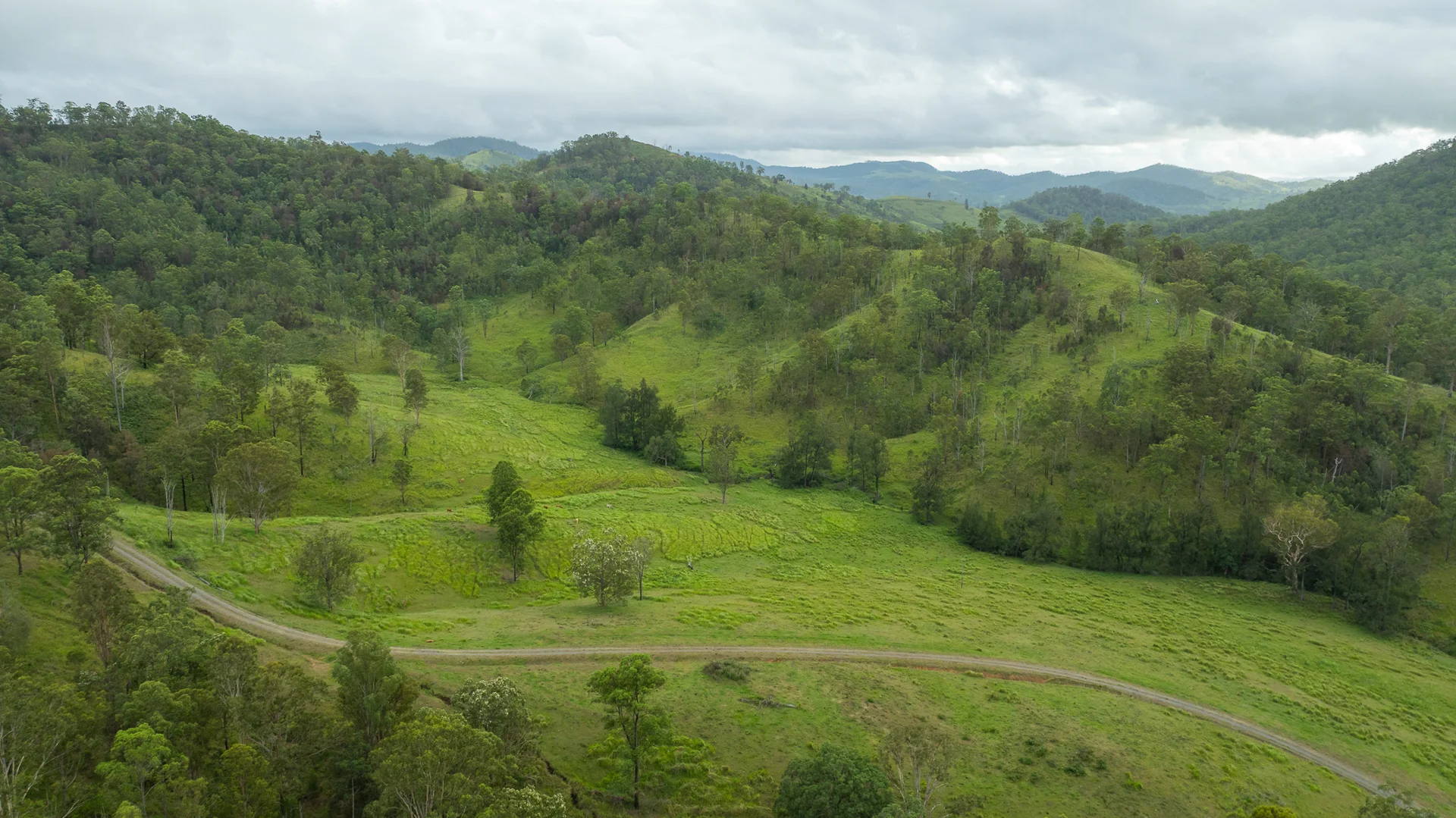 Additional image 31 of 2956 Carnham Road, Coombadjha NSW 2460