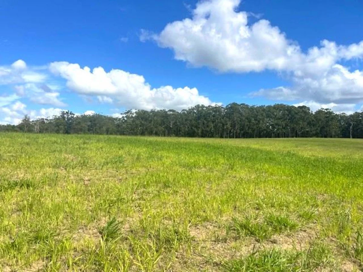 Additional image 3 of D'Aguilar QLD 4514