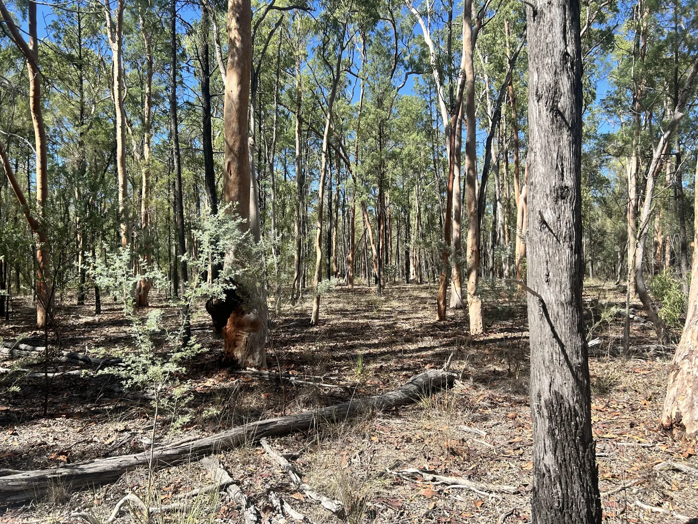 Additional image 14 of Lot 110 Biggs Rd, Coolmunda QLD 4387