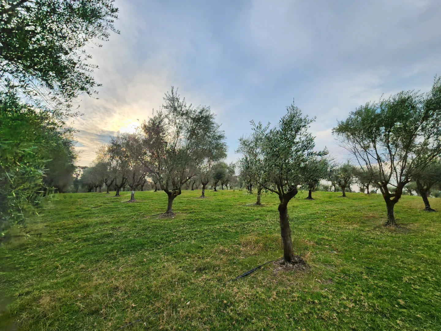 Additional image 47 of 100 Eltons Road, Silverdale NSW 2752