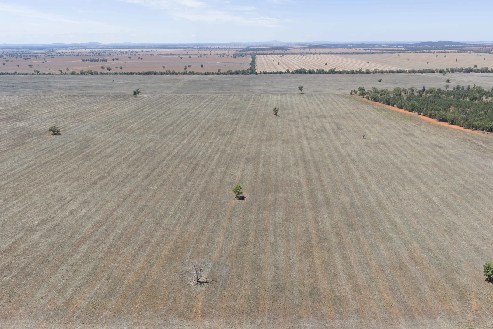 Additional image 14 of 489 West Milby Lane, Tullibigeal NSW 2669