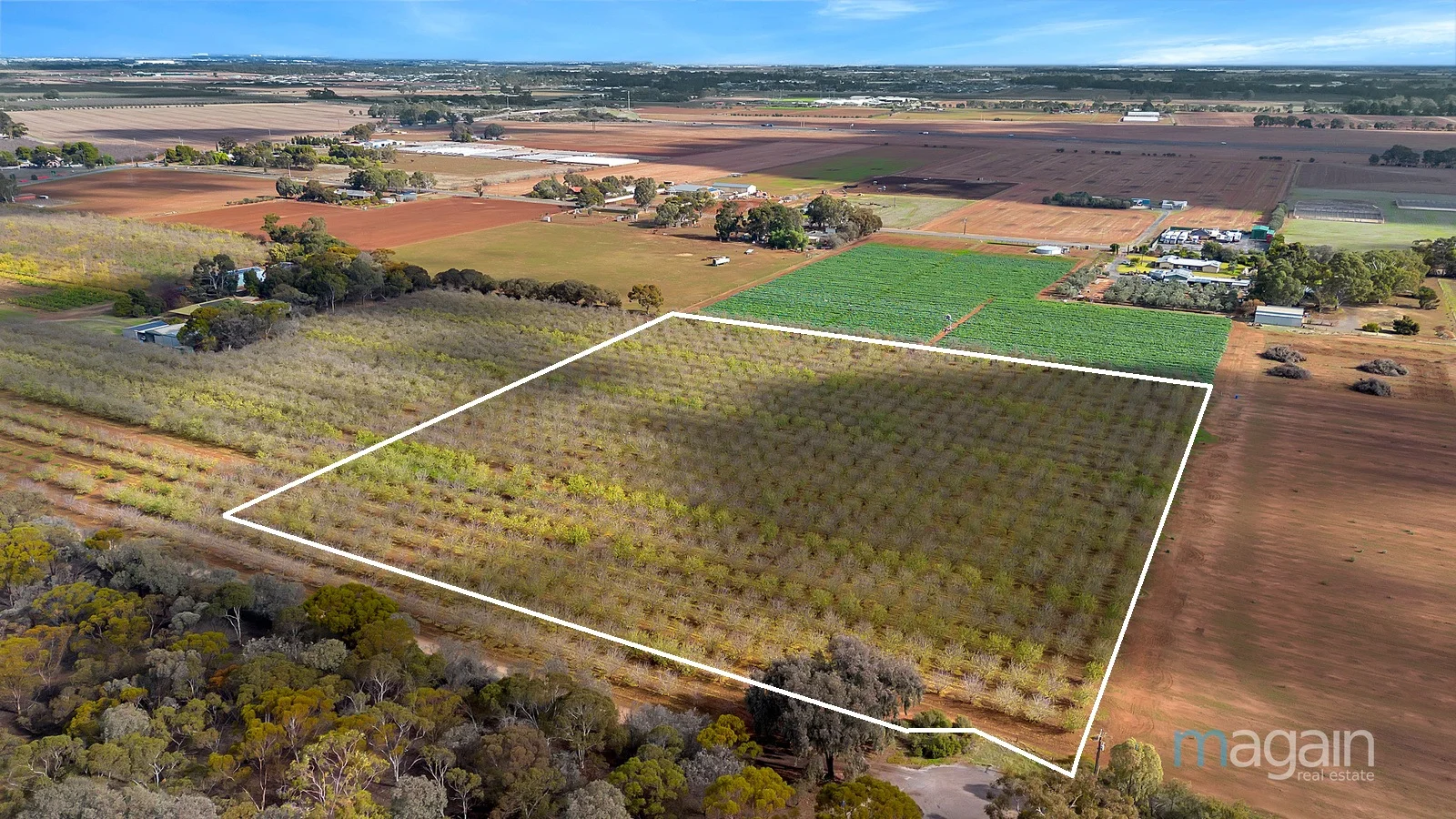 Additional image 3 of 76 Harris Road, Hillier SA 5116