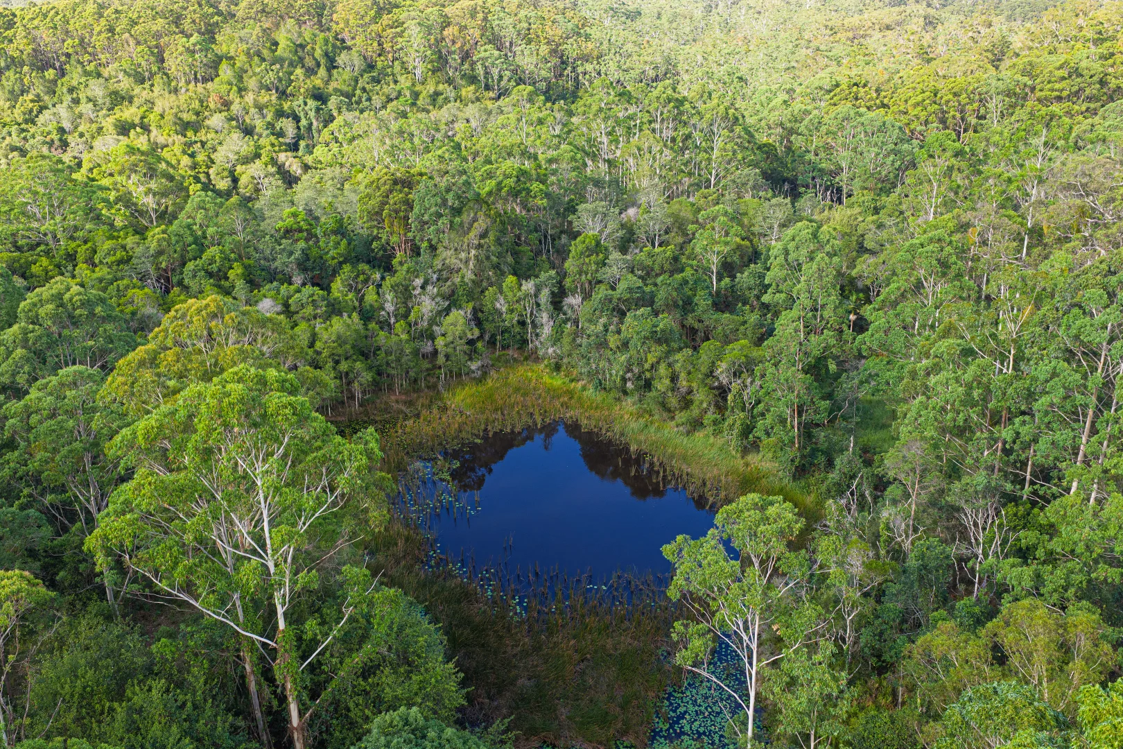 Additional image 32 of 314 Jerusalem Road, Stewarts River NSW 2443
