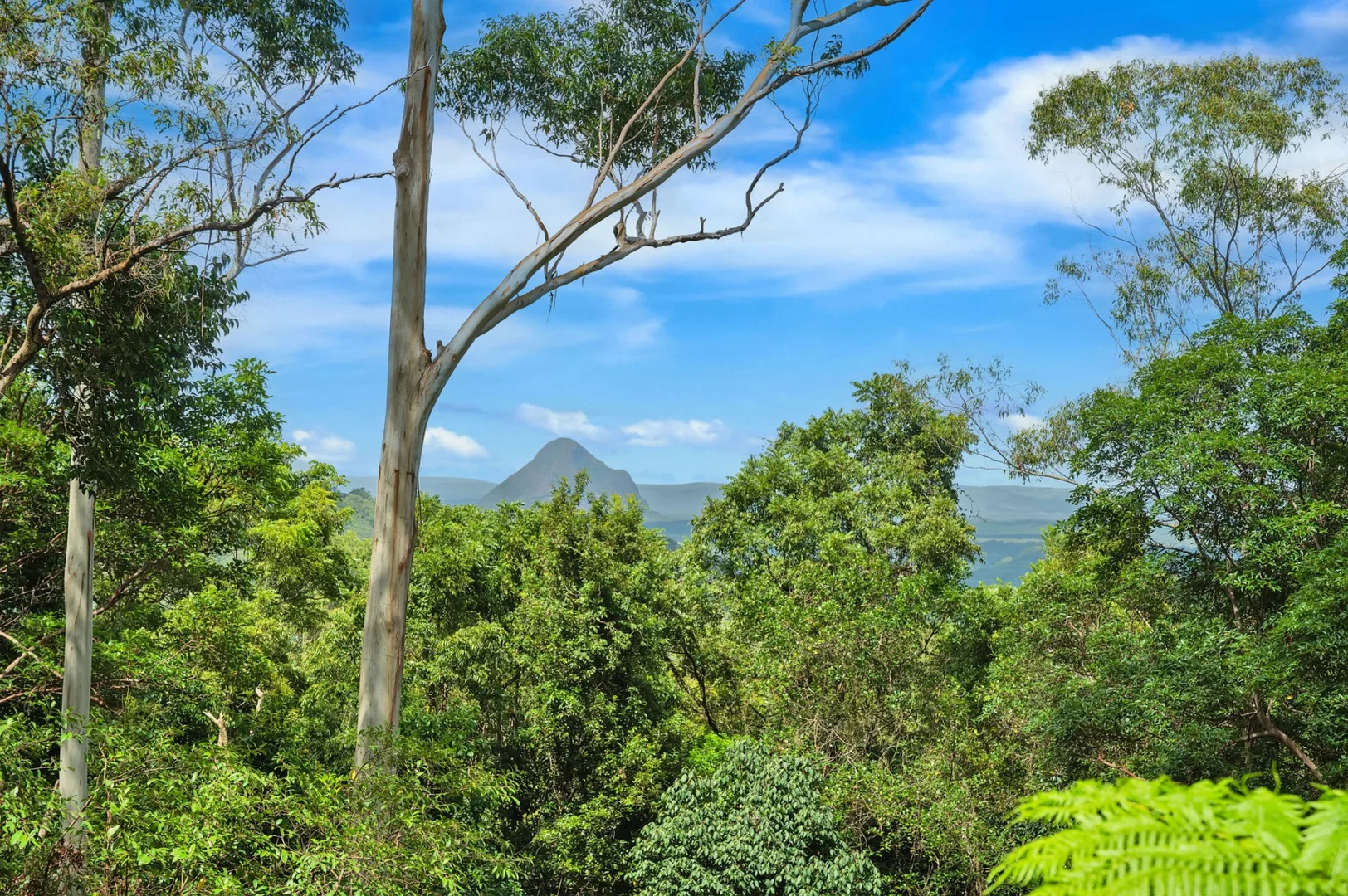 Additional image 29 of 16 Rowan Lane, Mount Mellum QLD 4550