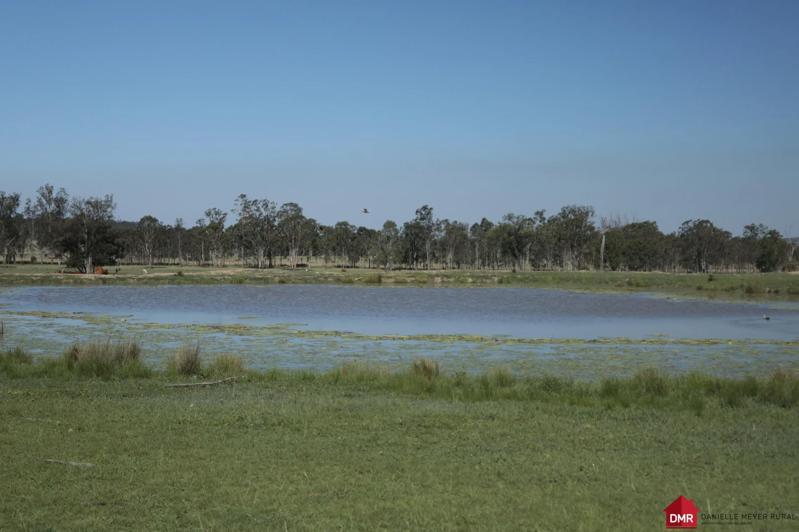 Additional image 6 of 25731 Burnett Highway, Cynthia QLD 4627