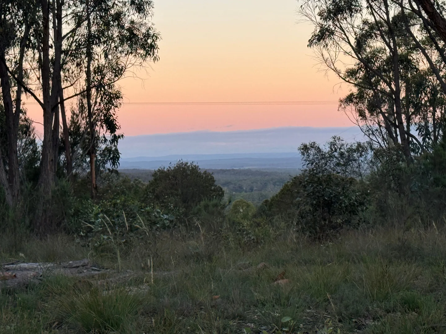 Additional image 20 of 274 Willow Glen Road, Lower Boro NSW 2580