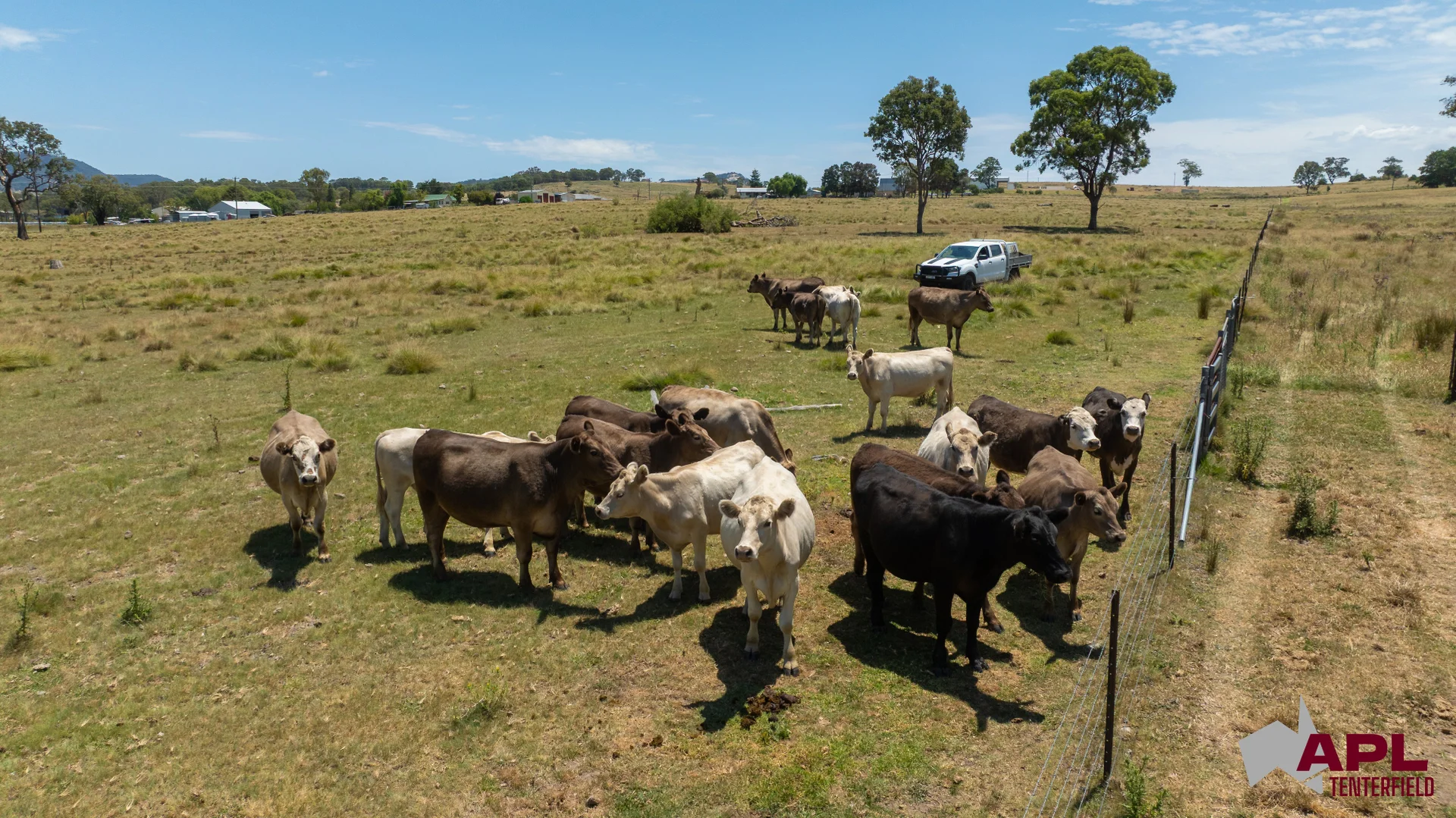 Additional image 21 of 210 Pelham Street, Tenterfield NSW 2372