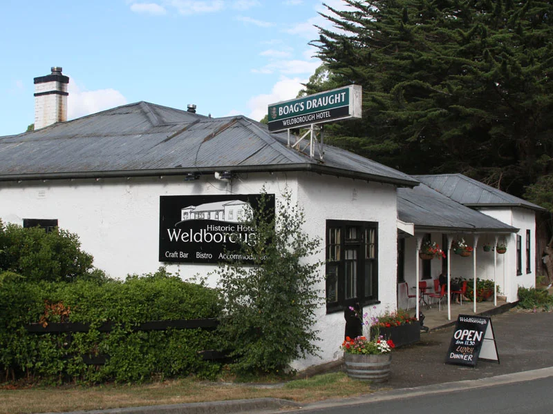 Additional image 10 of Lot 2/Part of 116680 Tasman Highway, Weldborough TAS 7264