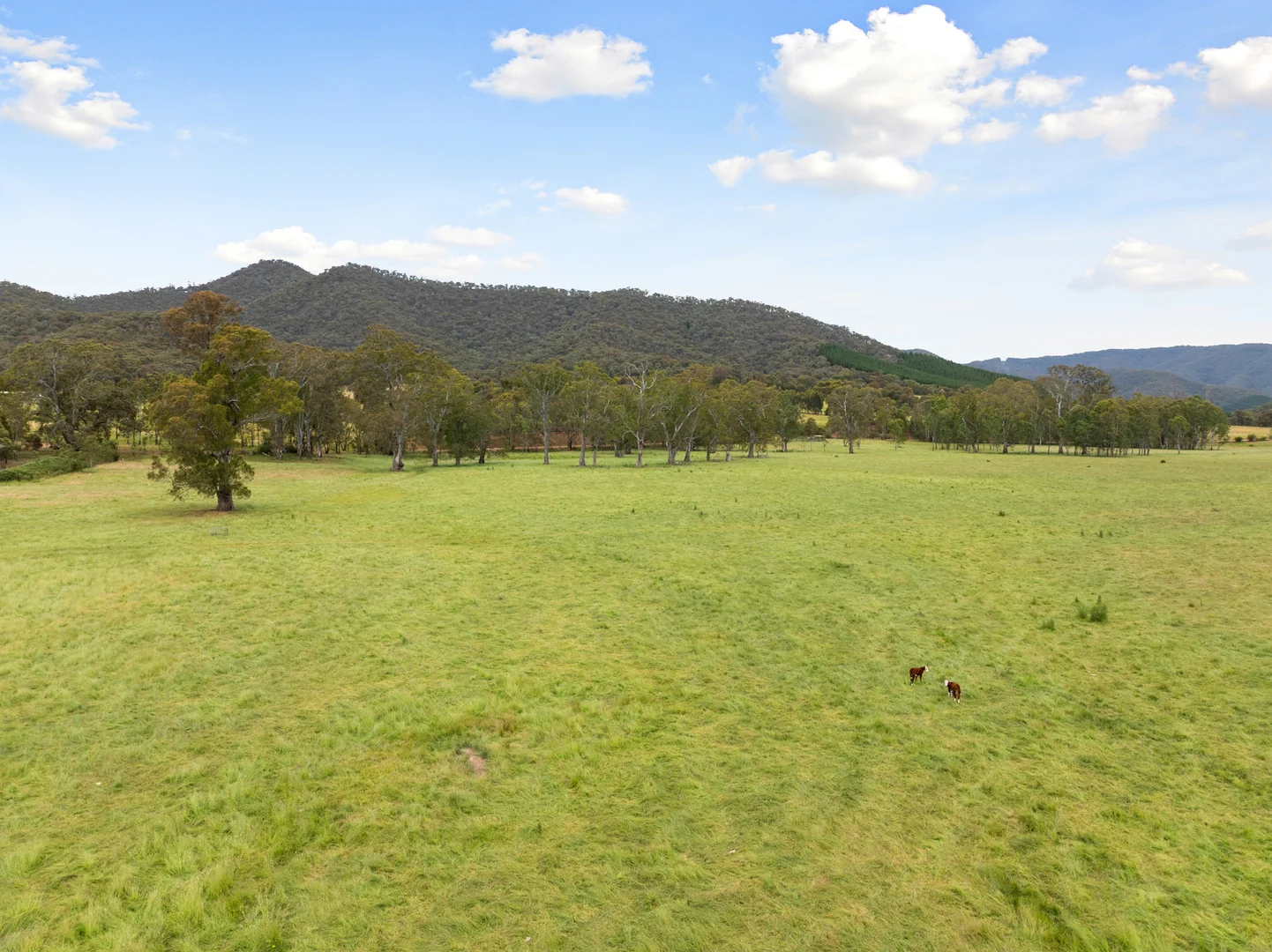 Additional image 28 of 210 Walshs Road, Goughs Bay VIC 3723