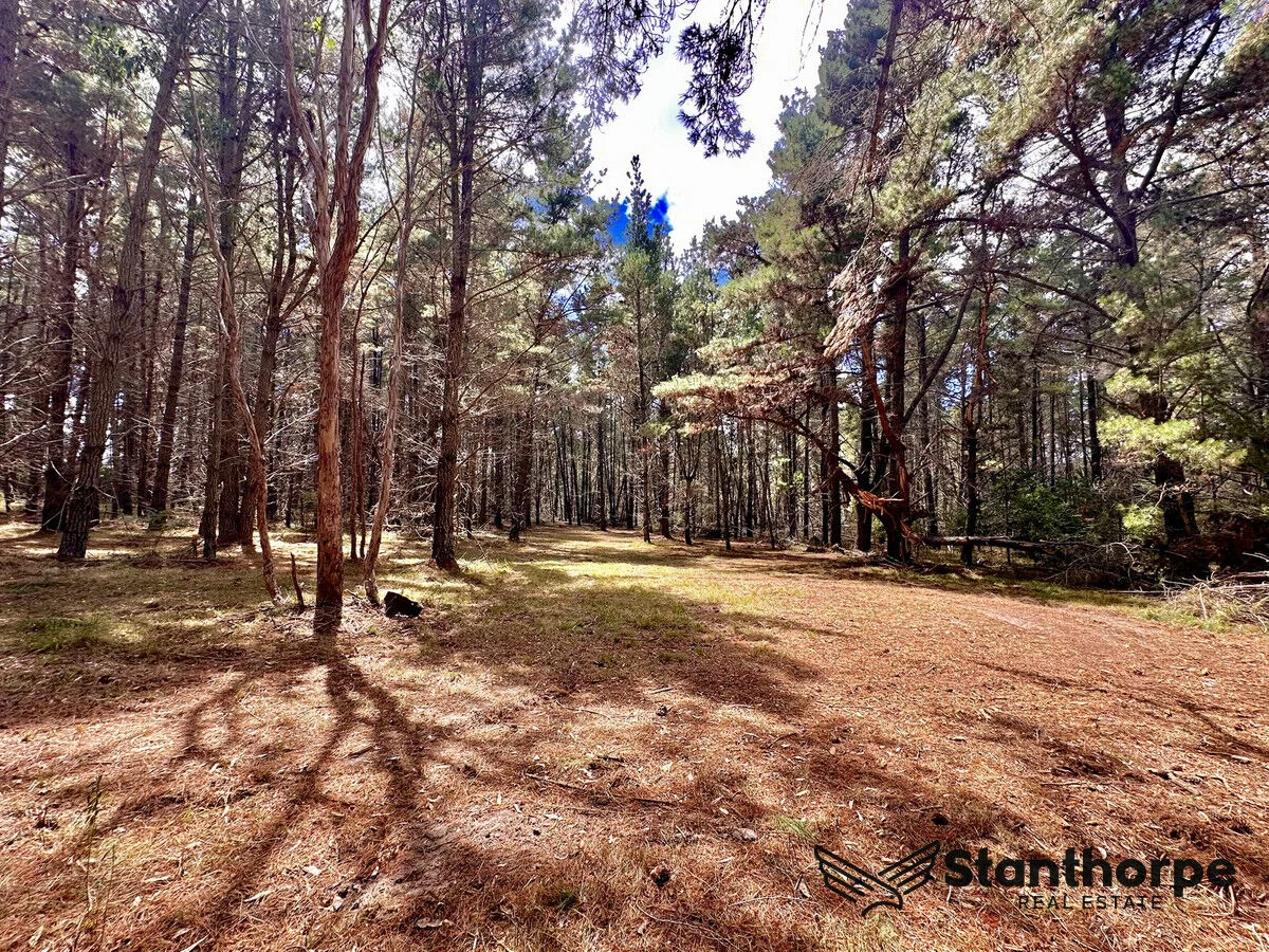 Additional image 32 of 240 Panoramic Drive, Sugarloaf QLD 4380