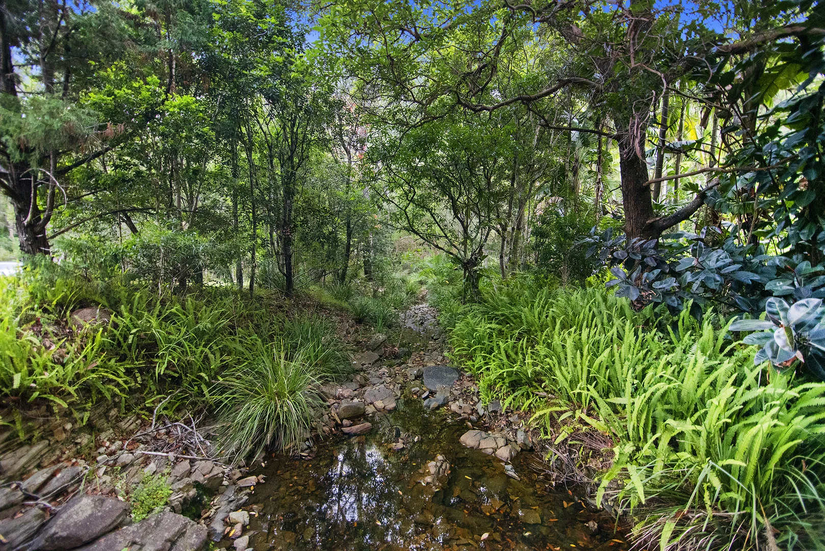 Additional image 12 of 7-9 Summercreek Lane, Nerang QLD 4211