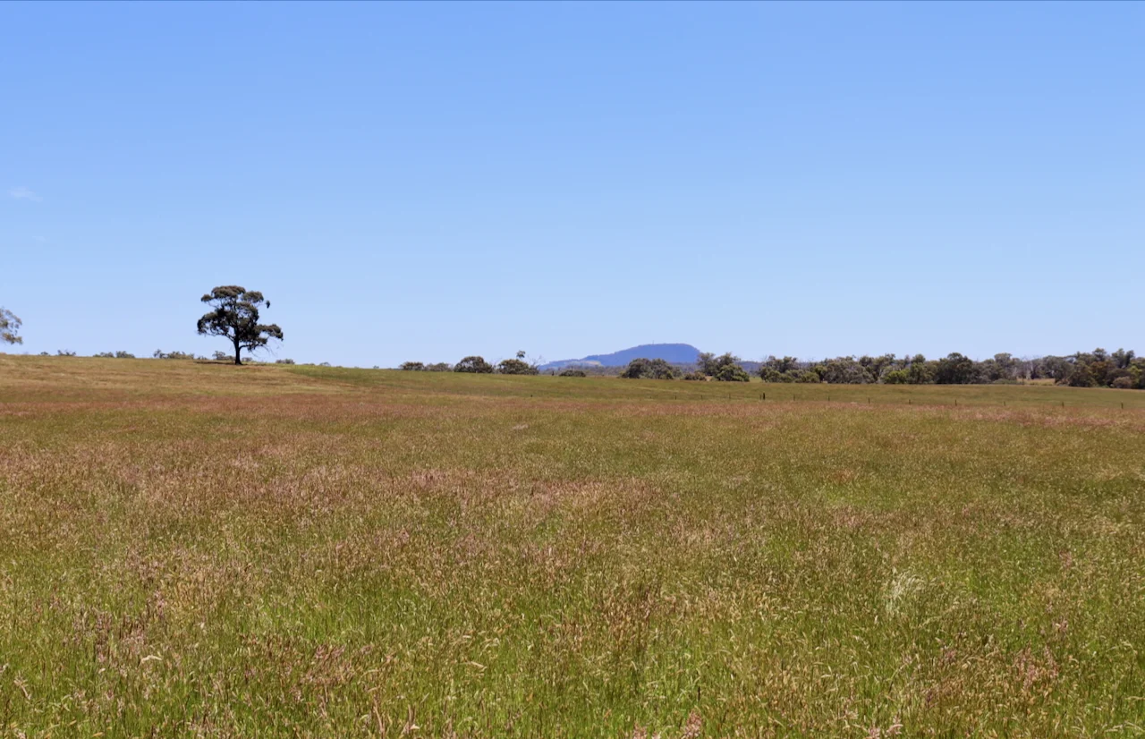 Additional image 9 of 13, 13A, 13B, 31A &, BRIDGE ROAD, Grenville VIC 3352