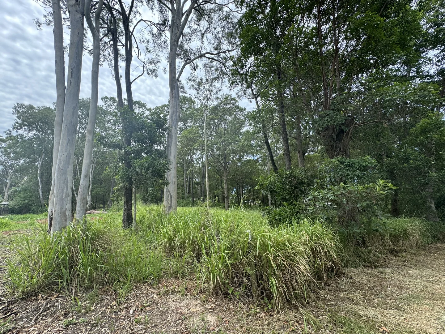 Additional image 6 of 19 Bilbungra Street, Russell Island QLD 4184