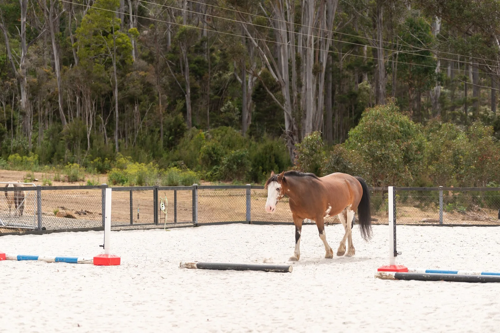 Additional image 12 of 780 Lilydale Road, Underwood TAS 7268