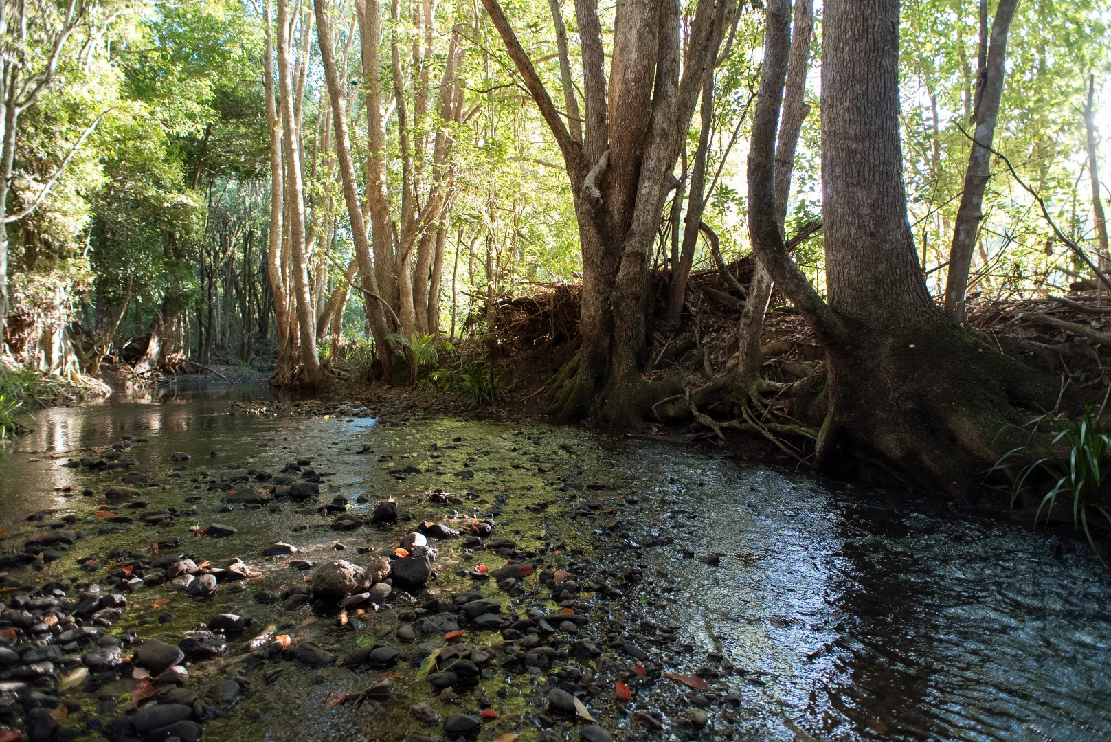 Additional image 29 of 38 Cooloon Street, Kunghur NSW 2484