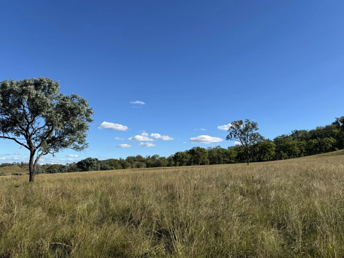 Additional image 21 of 186 Mungungo Creek Road, Monto QLD 4630