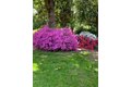 Additional image 26 of 3710 Orchard Ln, Sacramento, CA, 95821