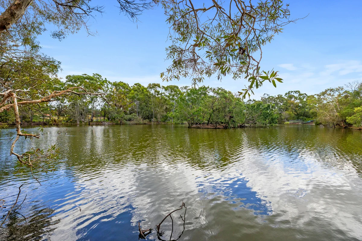 Additional image 3 of 45 Margery Street, Thornlands QLD 4164