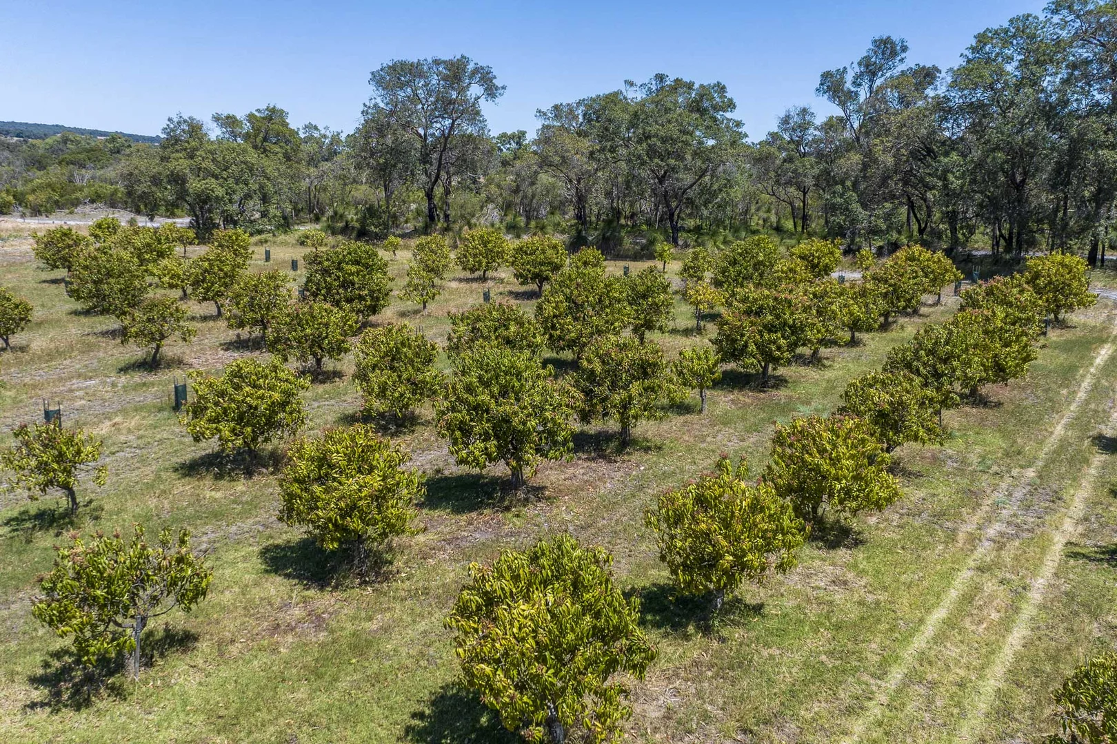 Additional image 18 of 227 Cockram Road, Lennard Brook WA 6503