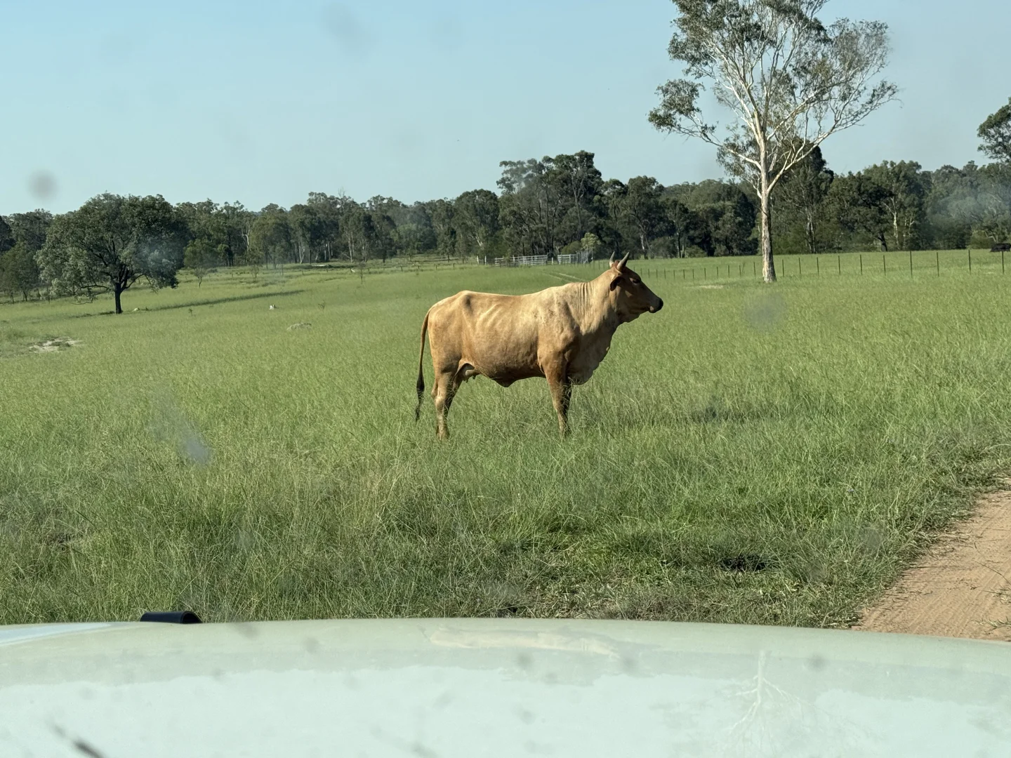 Additional image 16 of 24754 Burnett Highway, Ceratodus QLD 4627