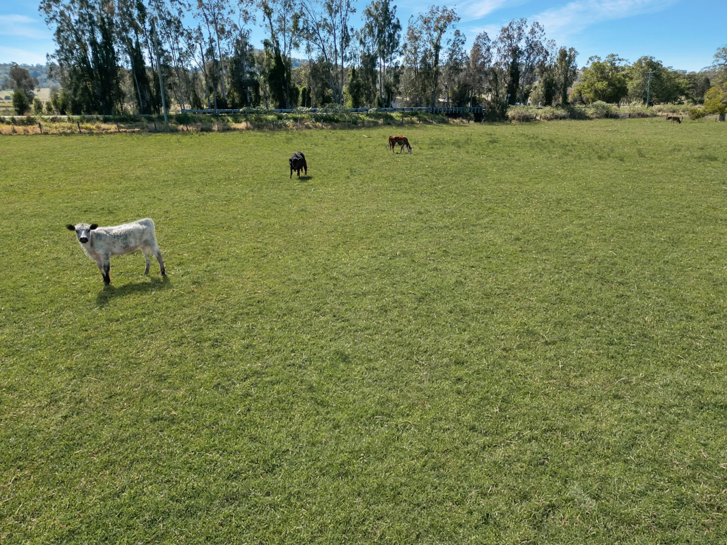 Additional image 8 of 955 Spring Grove Road, Spring Grove NSW 2470