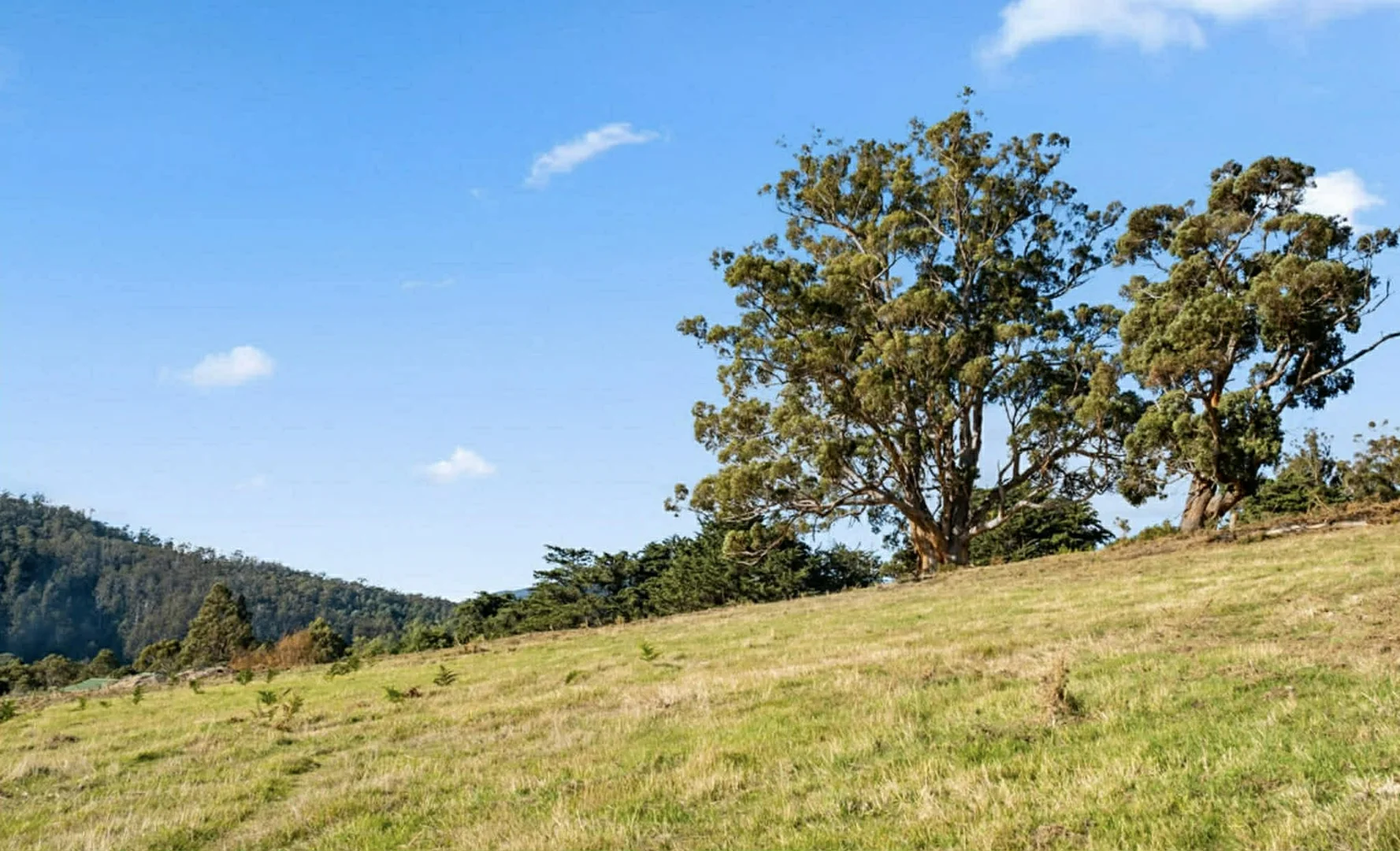 Additional image 18 of 2 Direens Road, Lymington TAS 7109