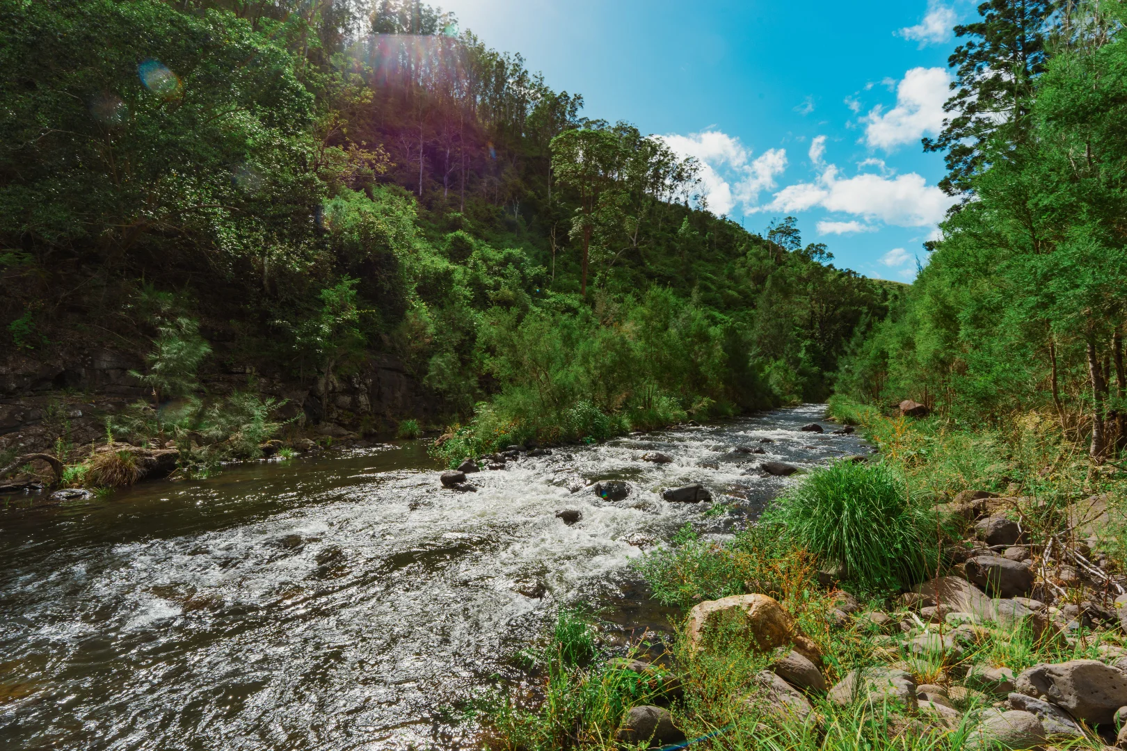 Additional image 32 of 466 Sarabah Road, Sarabah QLD 4275